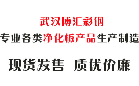 委員建議：支持青海加速建設(shè)清潔能源示范省